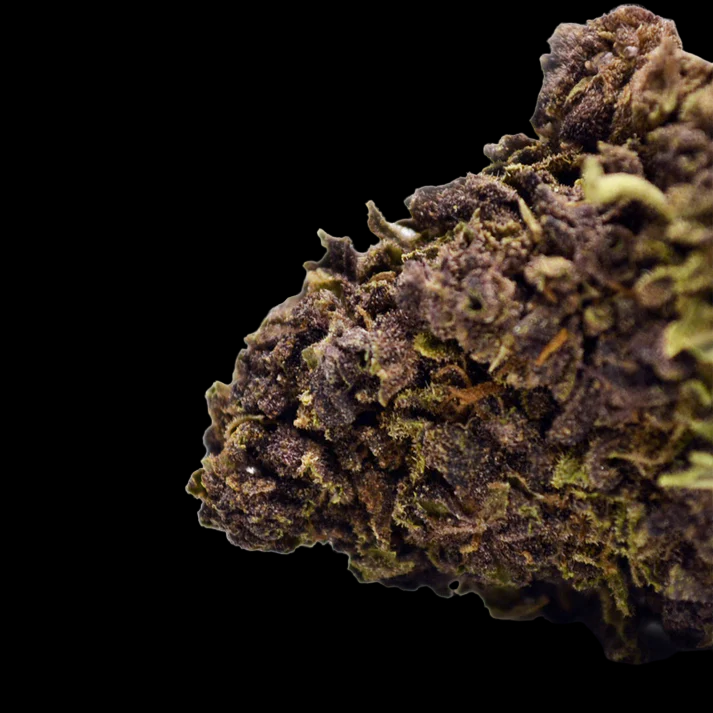 Purple Haze [Greenhouse]